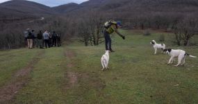 Ά&gamma;&rho;&alpha;&phi;&alpha; - &kappa;&omicron;&rho;&upsilon;&phi;ή &Kappa;&omicron;&kappa;&omicron;&rho;&iota;ά&kappa;&omicron;&sigmaf;