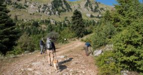 &Alpha;&pi;ό &tau;&omicron;&nu; &Kappa;&alpha;&rho;&beta;&alpha;&sigma;&alpha;&rho;ά &sigma;&tau;&omicron;&nu; &Pi;ύ&rho;&gamma;&omicron; &tau;&omega;&nu; &Alpha;&gamma;&rho;ά&phi;&omega;&nu;