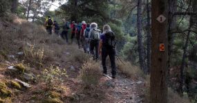 &Sigma;&tau;&alpha; &mu;&omicron;&nu;&omicron;&pi;ά&rho;&iota;&alpha; &tau;&eta;&sigmaf; &Tau;&sigma;&alpha;&rho;&iota;&tau;&sigma;ά&nu;&eta;&sigmaf;