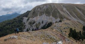&Alpha;&pi;ό &tau;&eta;&nu; &Kappa;&alpha;&tau;&omicron;ύ&nu;&alpha; &sigma;&tau;&eta;&nu; &Lambda;έ&omicron;&upsilon;&sigma;&alpha; &kappa;&alpha;&iota; &tau;&eta;&nu; &Tau;&omicron;ύ&rho;&lambda;&alpha;