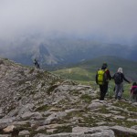 Triggia9