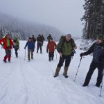 Bansko16