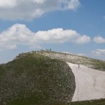 Triggia4