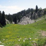 koziak3