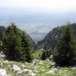 koziak6