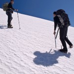 Triggia-4