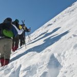triggia14