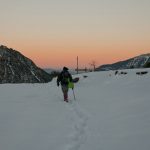 triggia39